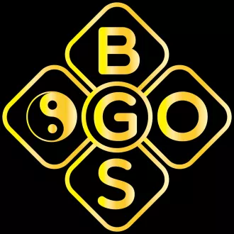 BGS GO